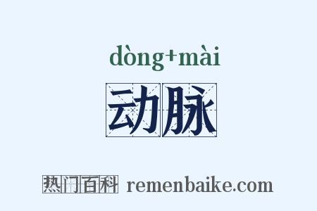 动脉是什么意思的图片